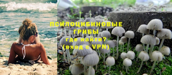 скорость mdpv Белокуриха