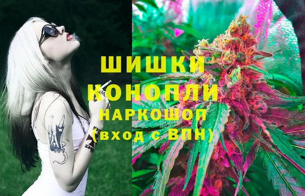 спиды Богородск