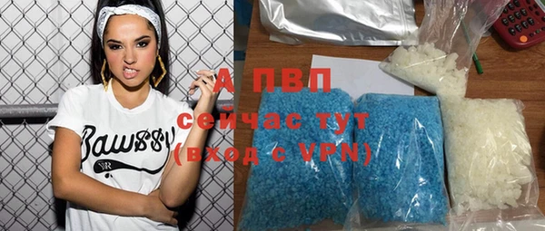прущие грибы Навашино
